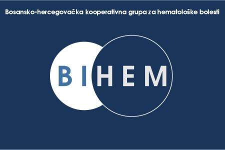 BIHEM radne grupe